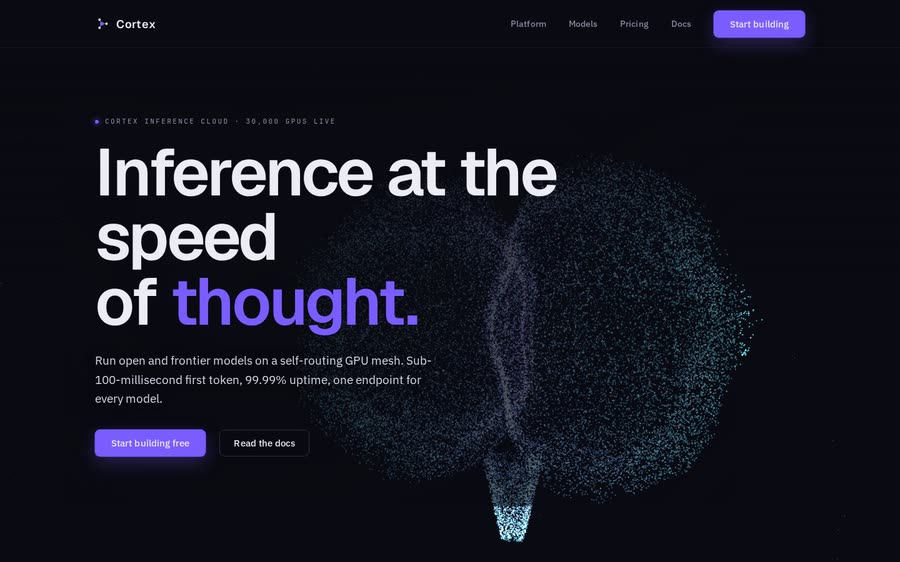 Cortex